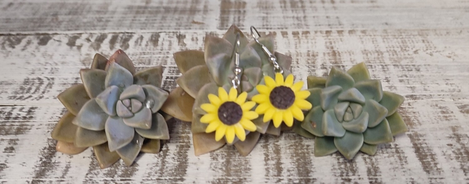 Fashionable and minimalist Daisy earrings for Ladies