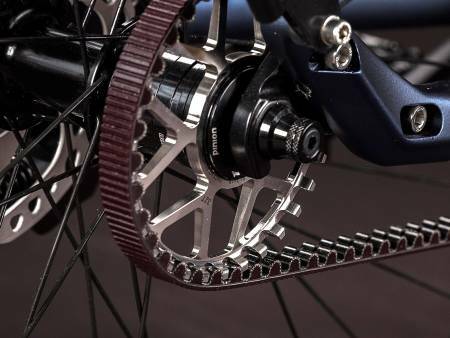 Bottcher titanium pinion discount bike