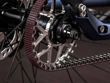 Bottcher titanium pinion bike sale