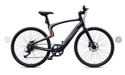 Urtopia E Bike Carbon 1S mit Gangschaltung! Farbe: Sirius!