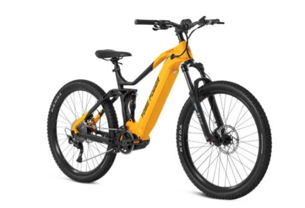 Fully E Mountainbike Cobra 2.0