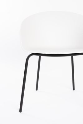 VOID DINING CHAIR