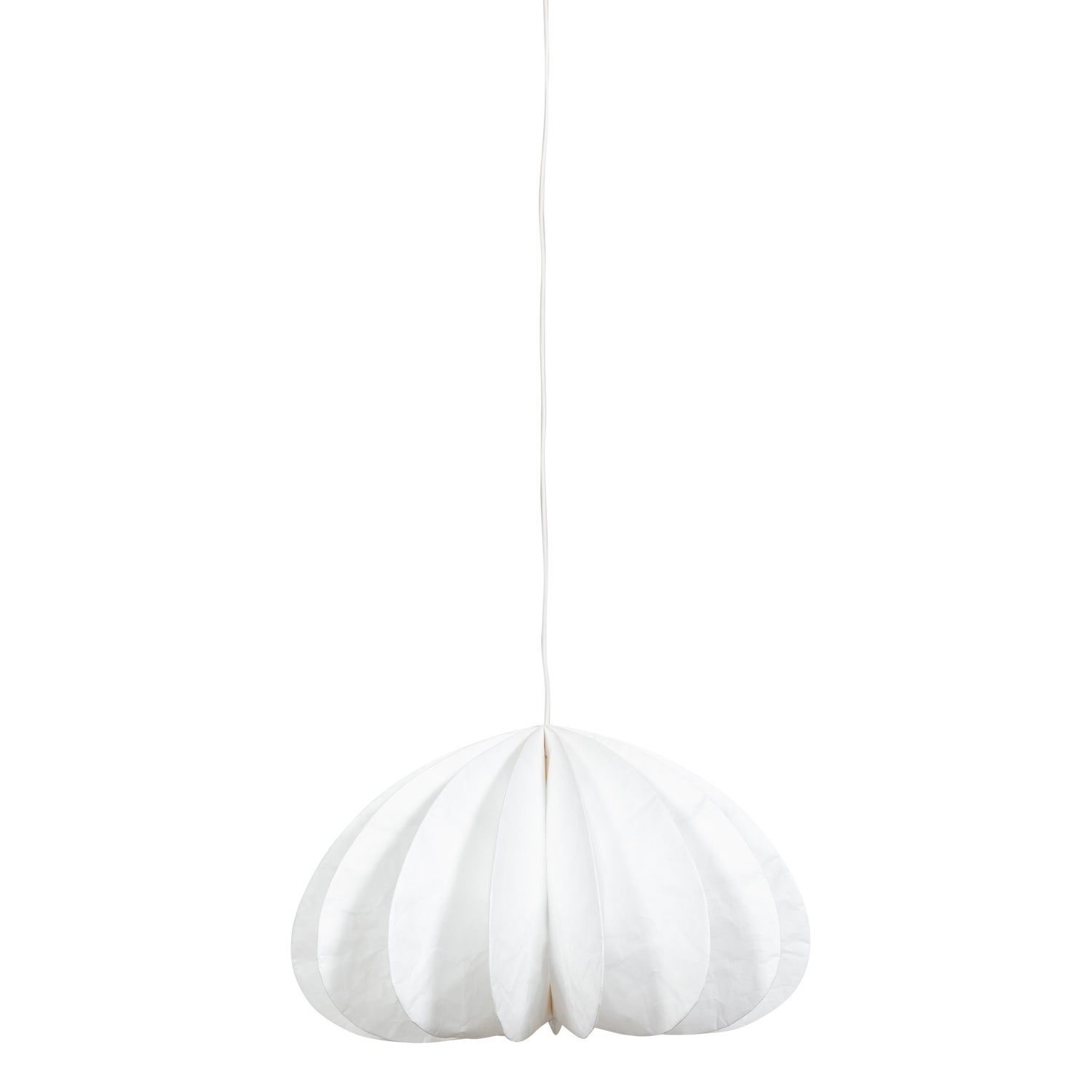 DALIA LAMP