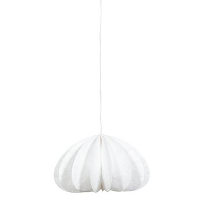 DALIA LAMP