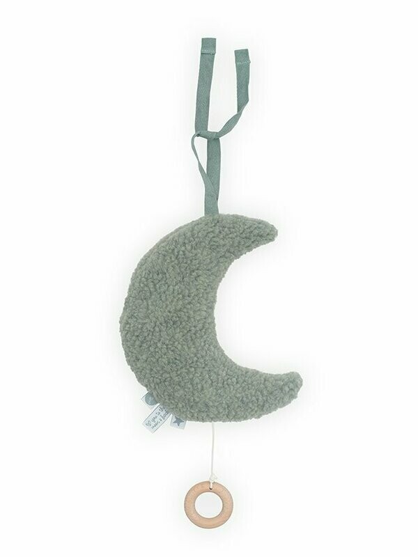 Muziekdoosje / hanger Moon ash green