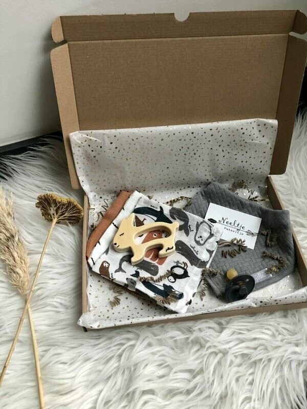 Jongen Small brievenbus