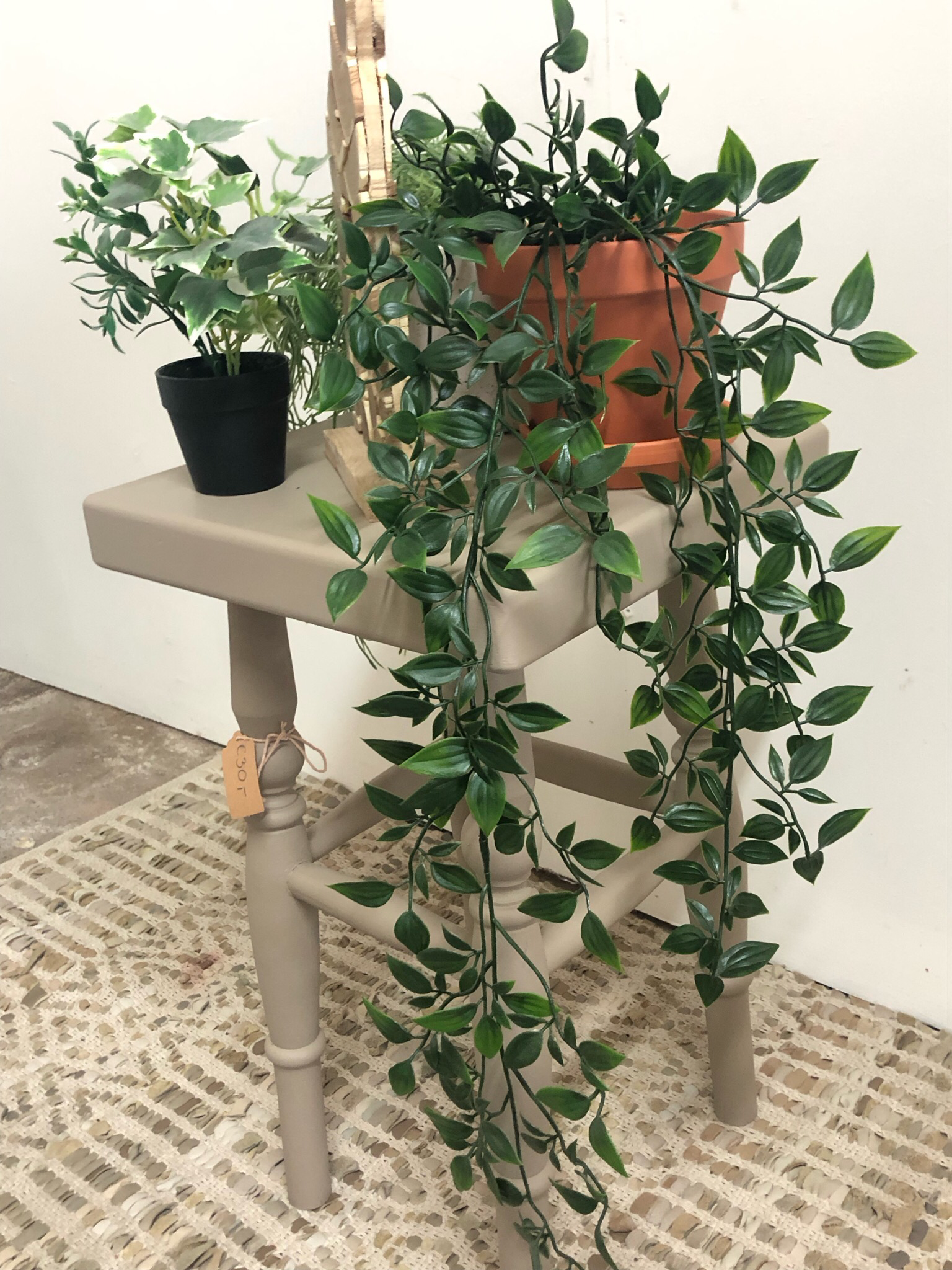 Plantentafeltje Algonquin