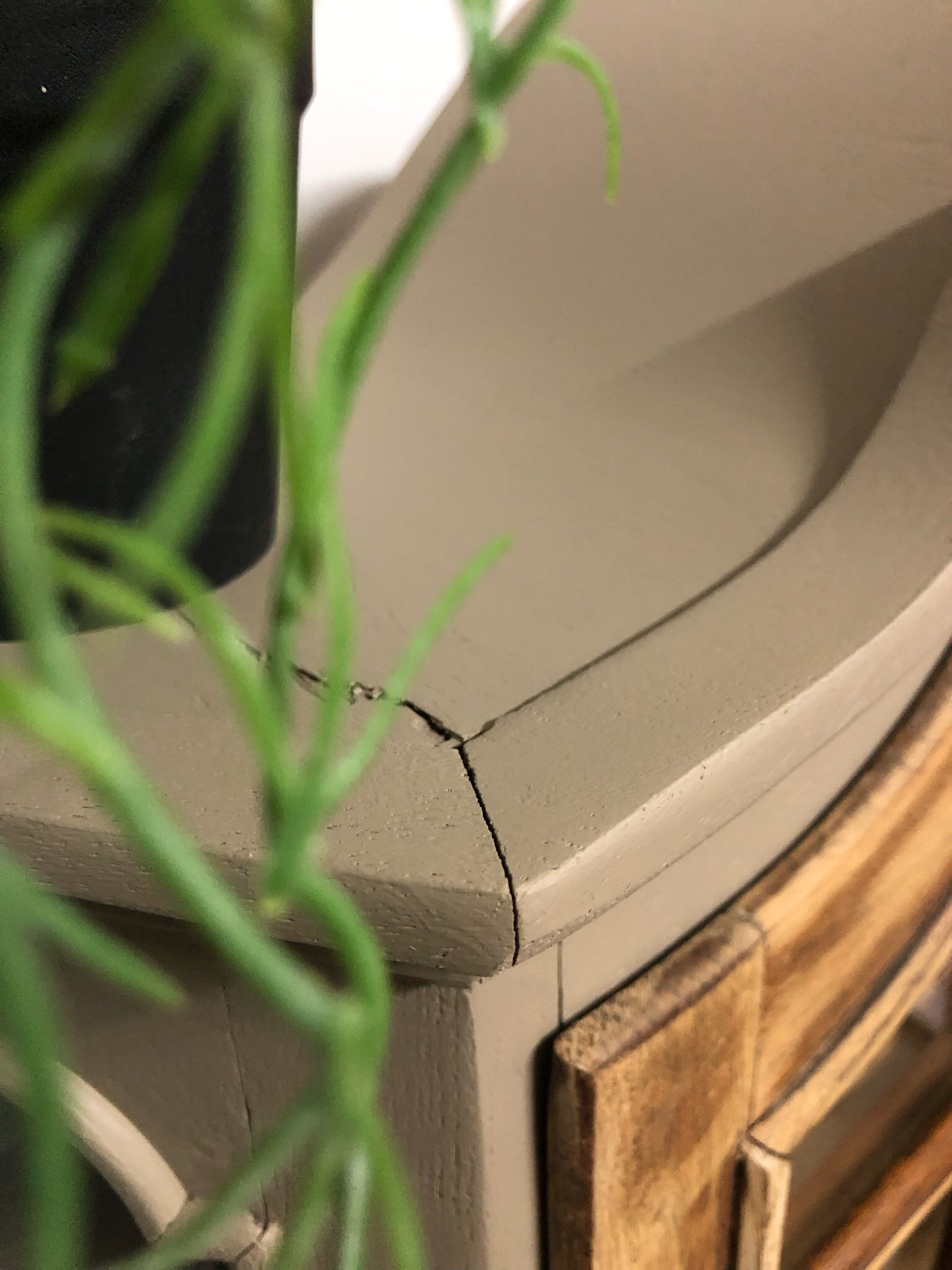 Vitrinekastje Algonquin