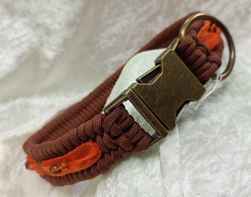 Berstein-Halsband