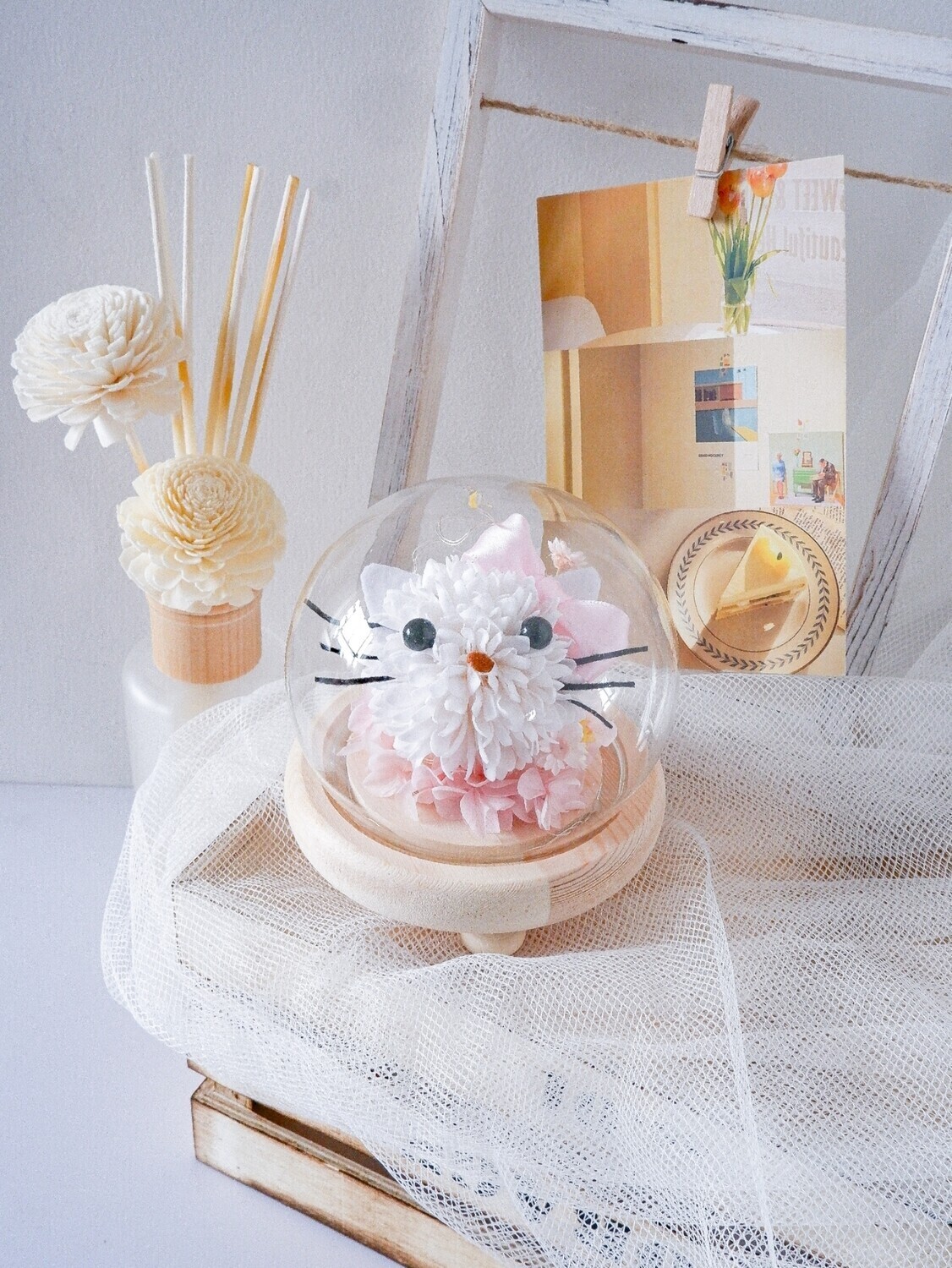 Hello Kitty Dome