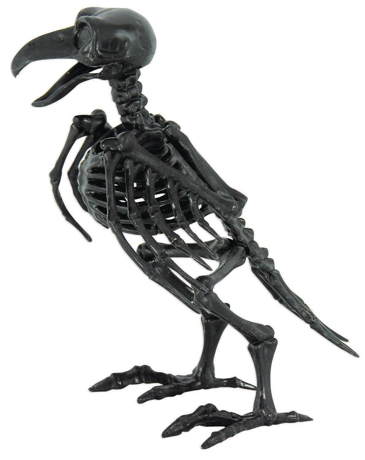 Skeleton Raven
