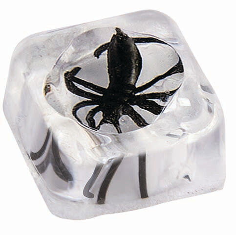 Spider in Ice Cube Set