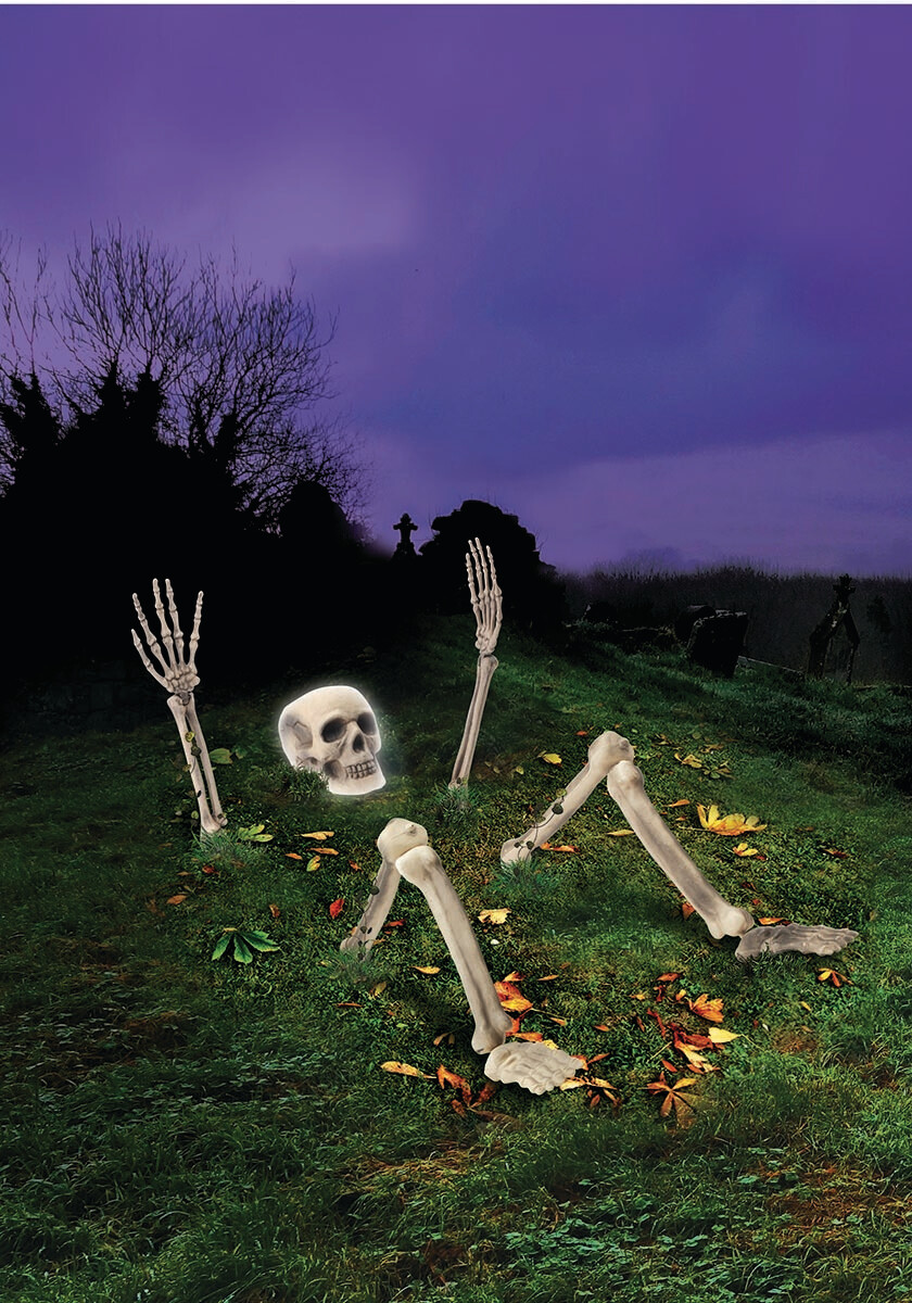 Light Up Skeleton From Ground