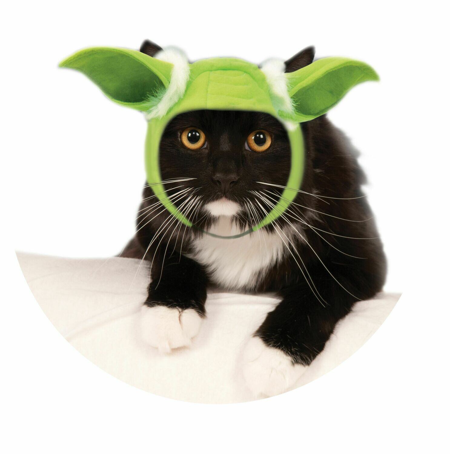 Yoda Cat Ears