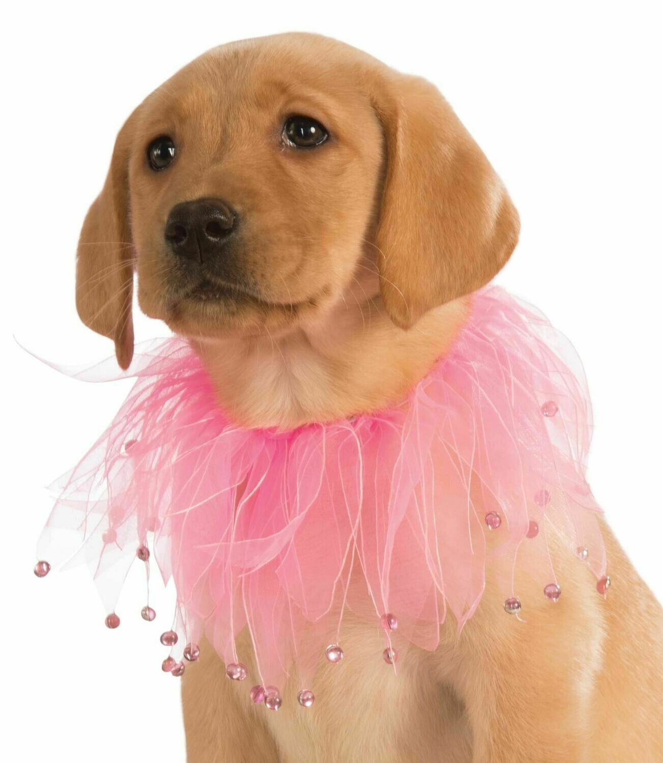 Pet Pink Fancy Collar