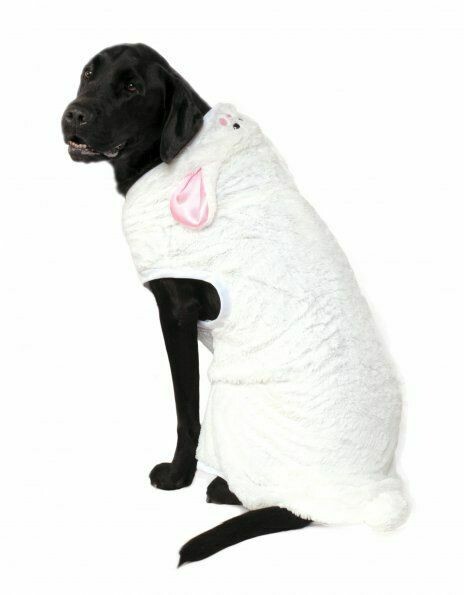 Big Dog Bunny Hoodie