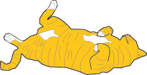 Orange cat decal