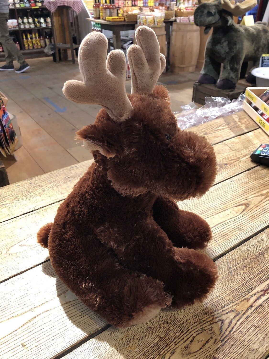 14&quot; Moose  50285