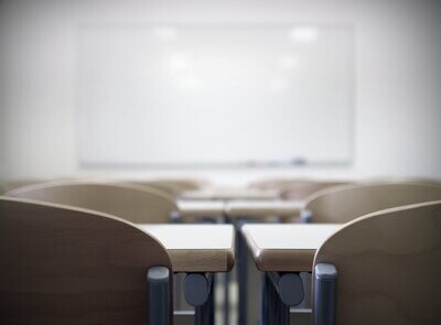 Webinar 2: Das Integumentsystem