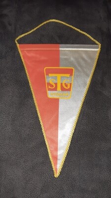 Wimpel TSG Wismar DDR Liga Wimpel TSG Wismar DDR Liga