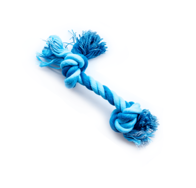 Blue rope toy