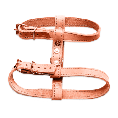 Peach harness