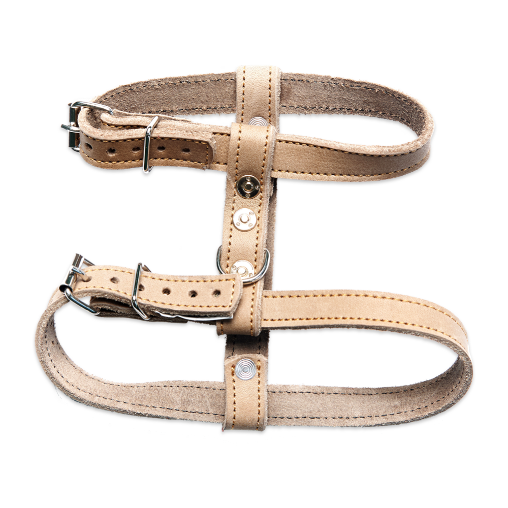 Beige Harness