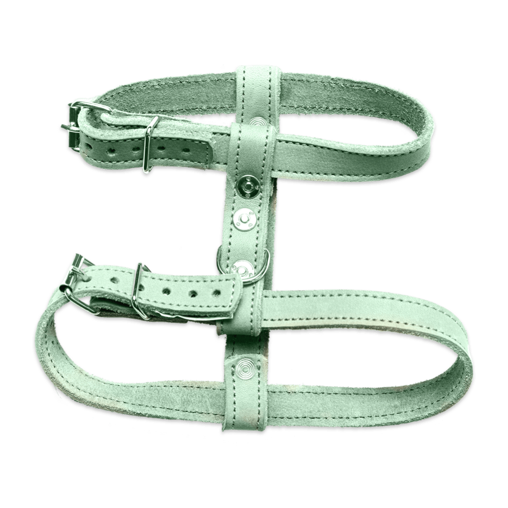 Mint Harness