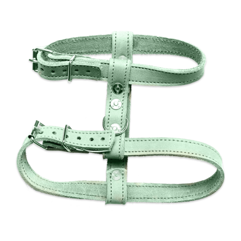 Mint Harness