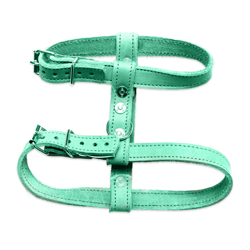 Green Harness