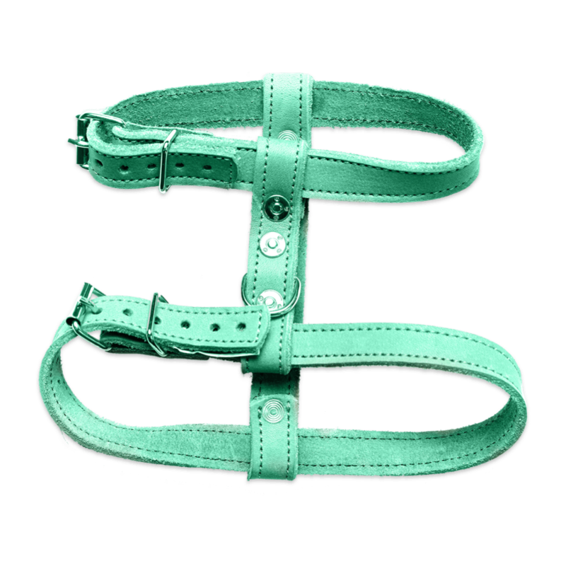 Green Harness