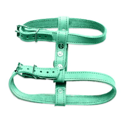 Green harness