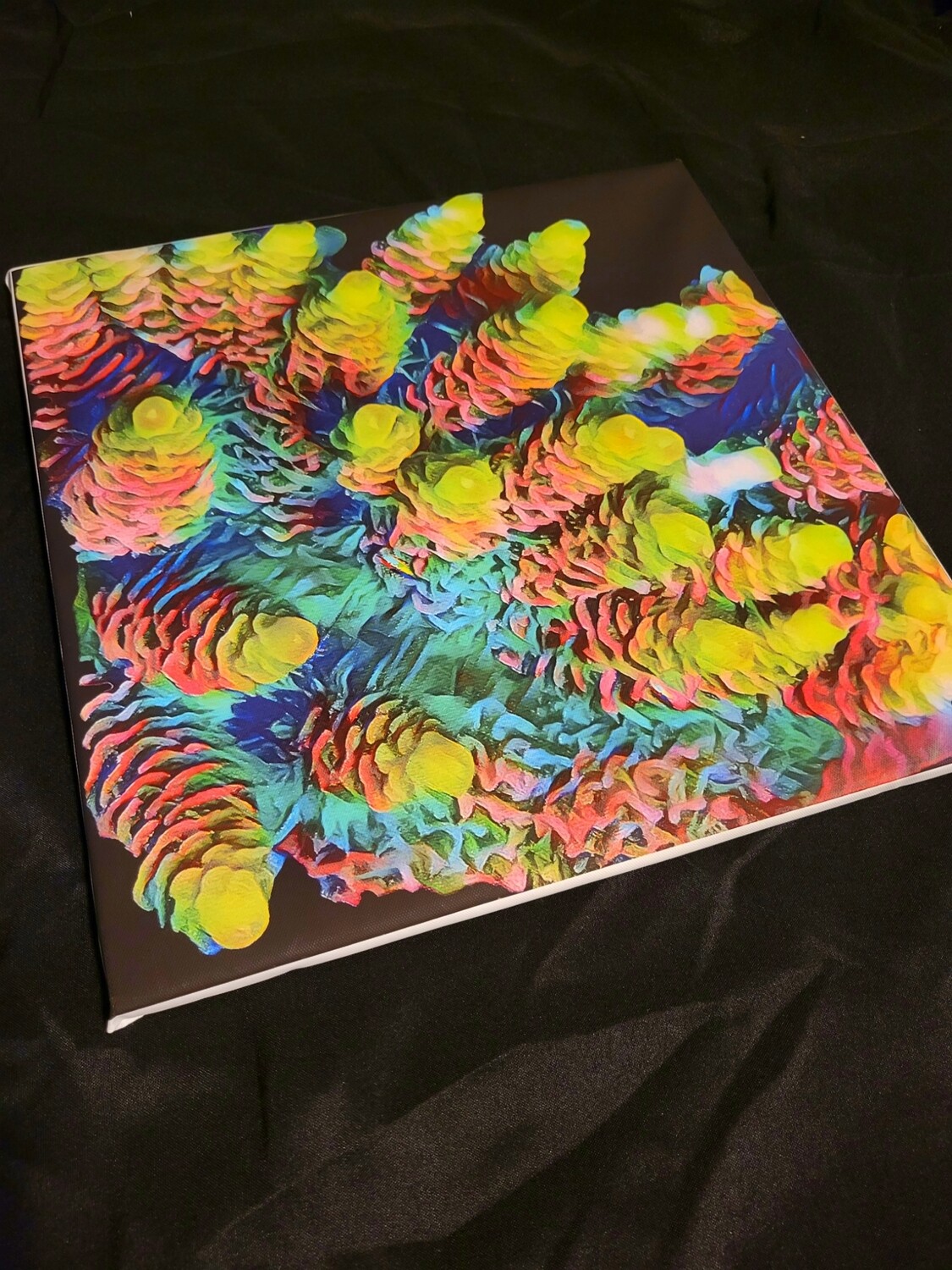 Rainbow Millepora Canvas (16"x16")