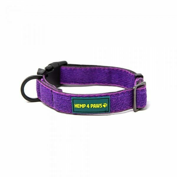 HEMP 4 PAWS - Hemp Dog Collar - Purple - Small HEMP 4 PAWS - Hemp Dog Collar - Purple - Small