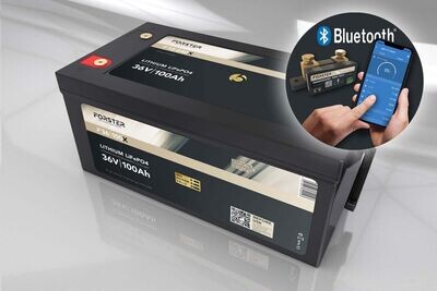 Forster 38,4V Lithium 100Ah LiFePO4 Premium Batterie | 200A-BMS-2.0 | 500A Bluetooth Mess-Shunt | 3840Wh | IP67