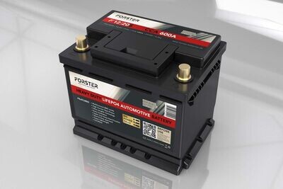 Starter-Batterien
