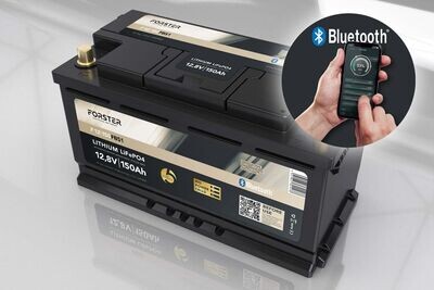 12,8V Lithium 150Ah LiFePO4 Standard Batterie | 150A-BMS | Smart Bluetooth | Ducato Ford PSA | 1920Wh