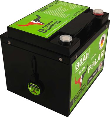 BullTron® 80Ah LiFePO4 Polar 12.8V Akku mit Smart BMS, Bluetooth App und Heizung