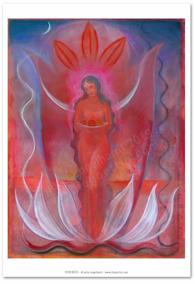Venusblüte FineArt Print