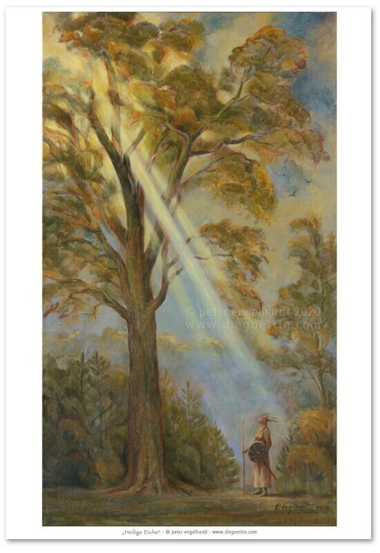 Heilige Eiche FineArt-Print