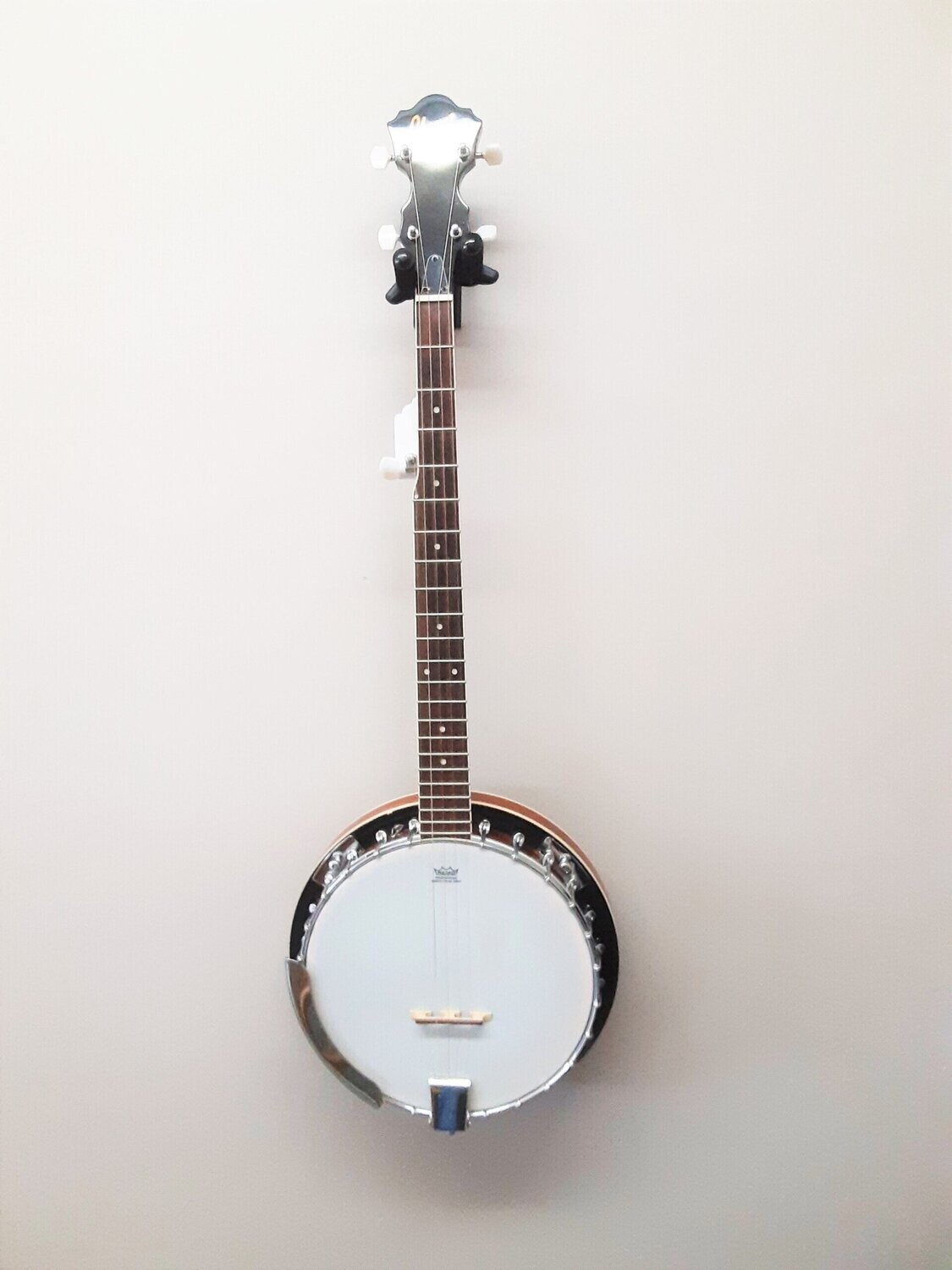 Ibanez top b50 banjo
