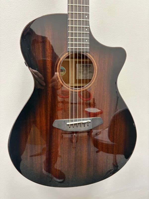 Breedlove Wildwood Pro Dreadnought Concerto CE 2025 - Suede Burst