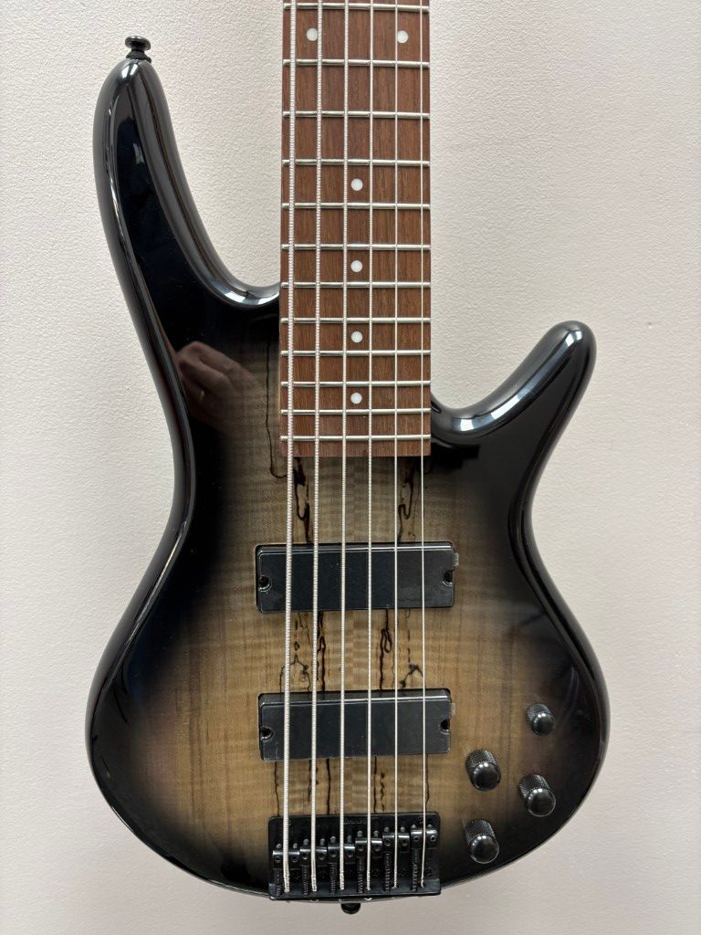 Ibanez GSR206SM-NGT 2026 - Natural Grey Burst