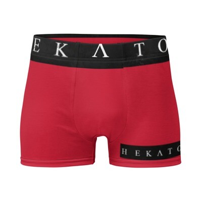 Solid LOGO Boxer Briefs