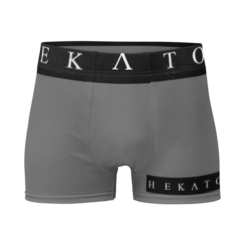 Solid LOGO Boxer Briefs, Size: XS