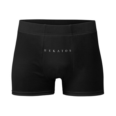 LOGO Print Boxer Briefs