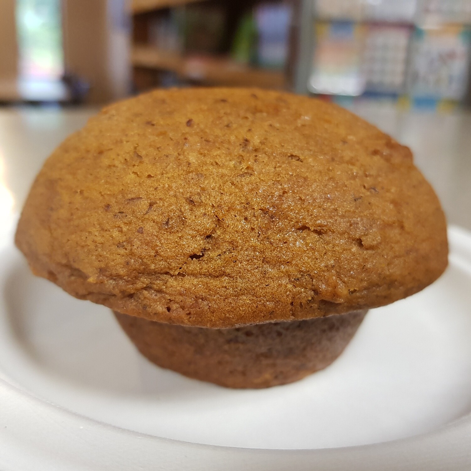 Pumpkin Muffin