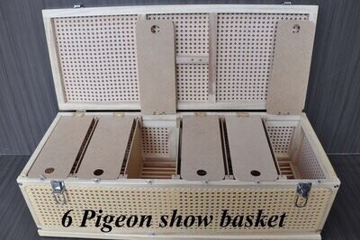 6 PIGEON SHOW BASKET