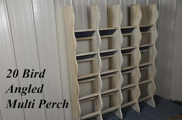 20 BIRD ANGLED PERCH