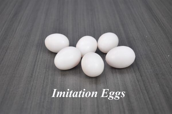 IMITATION EGGS